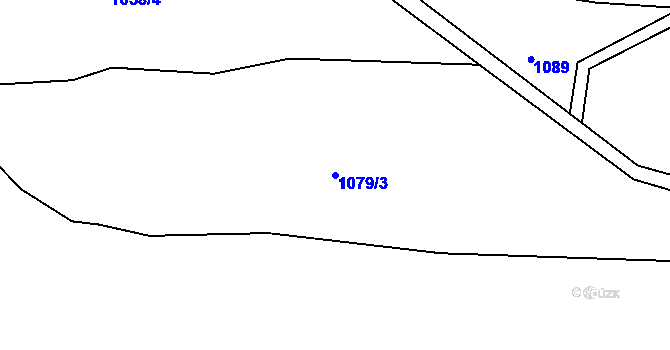 Parcela st. 1079/3 v KÚ Ruda u Rýmařova, Katastrální mapa
