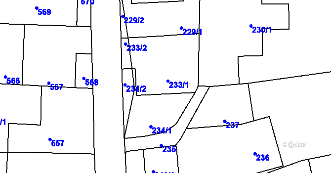 Parcela st. 233/1 v KÚ Rudice u Blanska, Katastrální mapa