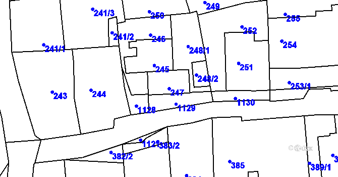Parcela st. 247 v KÚ Rudice u Blanska, Katastrální mapa