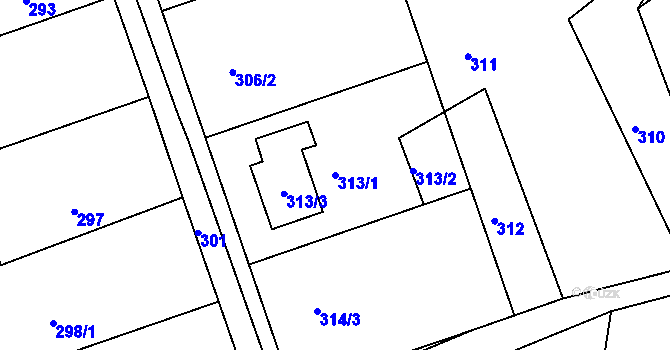 Parcela st. 313/1 v KÚ Rudice u Blanska, Katastrální mapa
