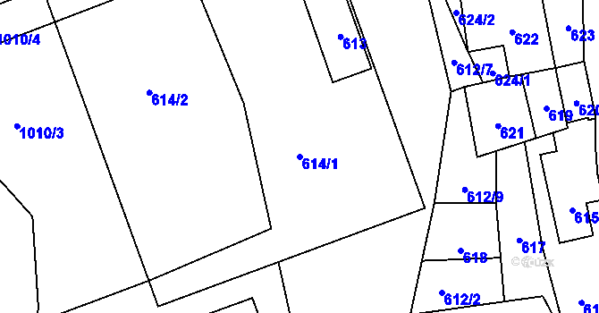 Parcela st. 614/1 v KÚ Rudice u Blanska, Katastrální mapa
