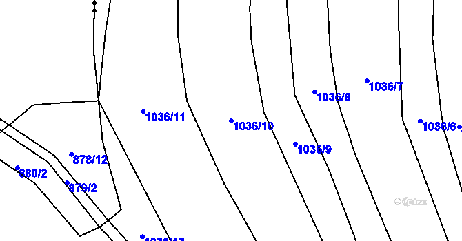 Parcela st. 1036/10 v KÚ Rudice u Blanska, Katastrální mapa