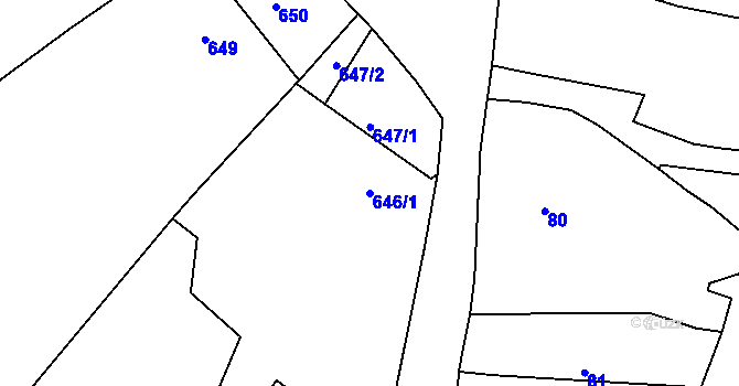 Parcela st. 646/1 v KÚ Rudice u Blanska, Katastrální mapa