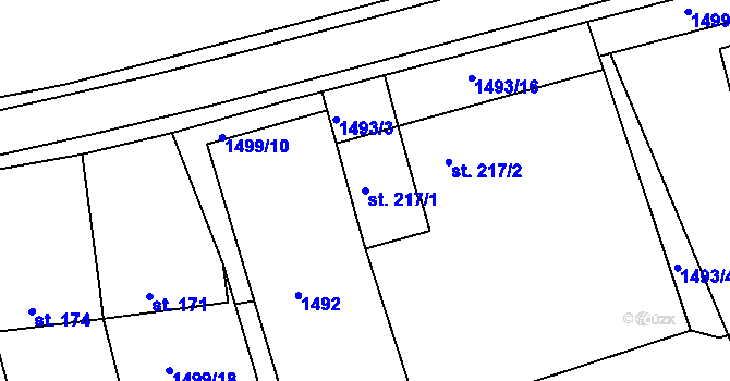 Parcela st. 217/1 v KÚ Rudice, Katastrální mapa