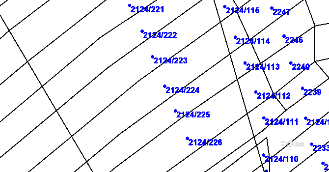 Parcela st. 2124/224 v KÚ Rudice, Katastrální mapa