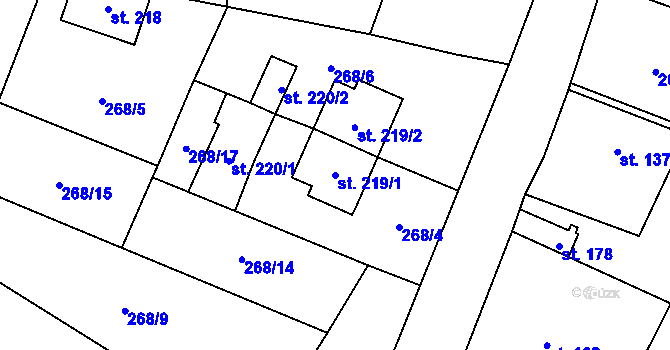 Parcela st. 219/1 v KÚ Rudíkov, Katastrální mapa