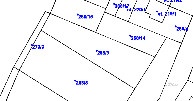 Parcela st. 268/9 v KÚ Rudíkov, Katastrální mapa