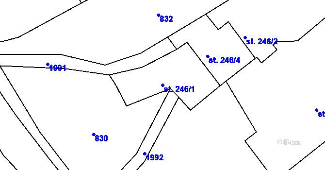Parcela st. 246/1 v KÚ Dolní Křečany, Katastrální mapa