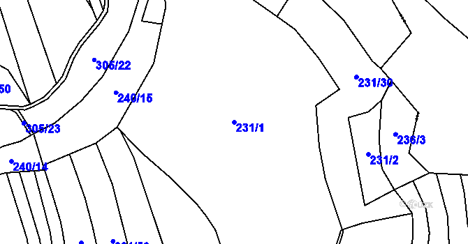 Parcela st. 231/1 v KÚ Ruprechtov, Katastrální mapa