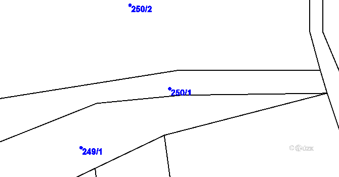 Parcela st. 250/1 v KÚ Ruprechtov, Katastrální mapa