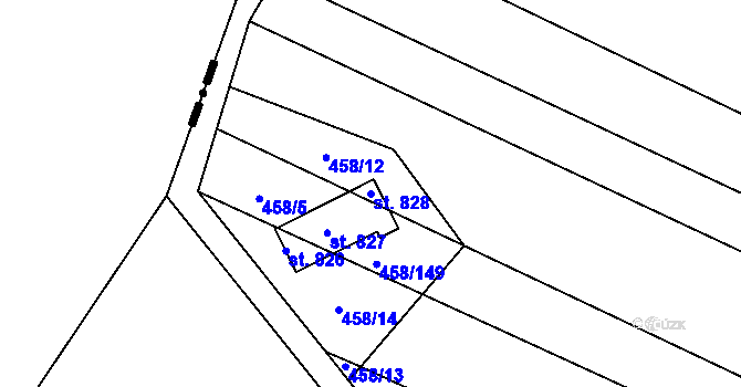 Parcela st. 828 v KÚ Ruprechtov, Katastrální mapa