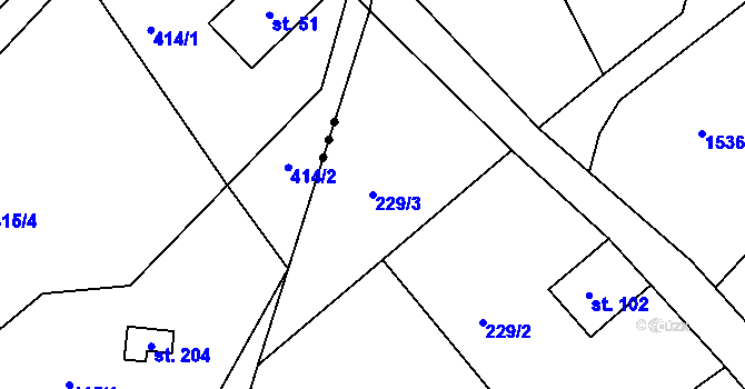 Parcela st. 229/3 v KÚ Rváčov, Katastrální mapa