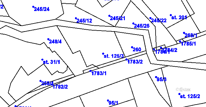 Parcela st. 125/3 v KÚ Rybí, Katastrální mapa