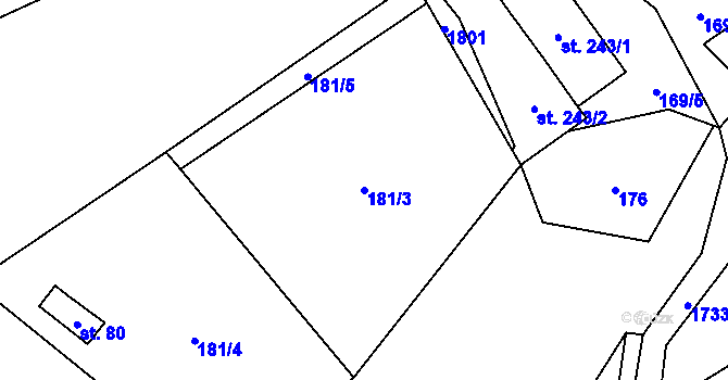 Parcela st. 181/3 v KÚ Rybí, Katastrální mapa