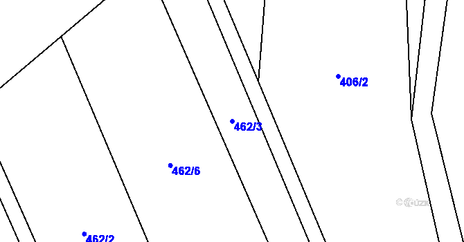 Parcela st. 462/3 v KÚ Rybí, Katastrální mapa