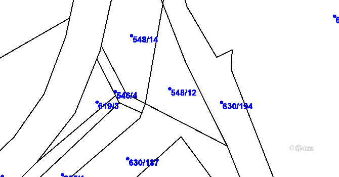 Parcela st. 548/12 v KÚ Rybí, Katastrální mapa