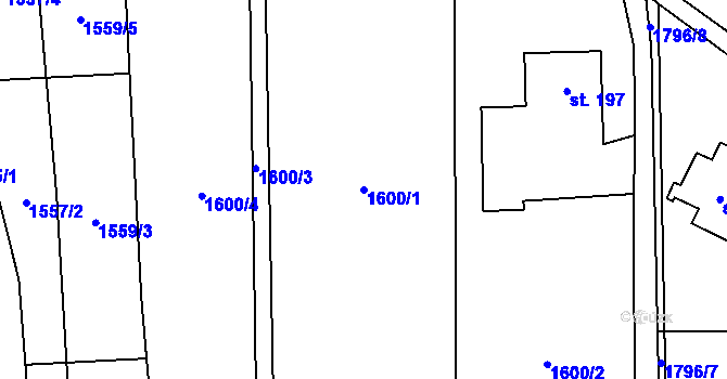 Parcela st. 1600/1 v KÚ Rybí, Katastrální mapa