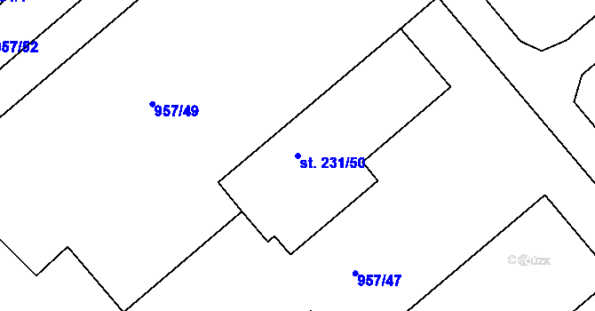 Parcela st. 231/50 v KÚ Rybitví, Katastrální mapa