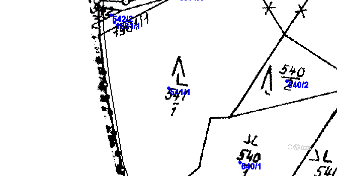 Parcela st. 541/1 v KÚ Rybná nad Zdobnicí, Katastrální mapa