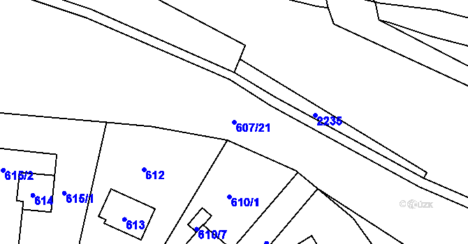 Parcela st. 607/21 v KÚ Rychnov nad Kněžnou, Katastrální mapa