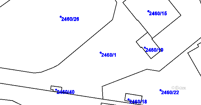 Parcela st. 2460/1 v KÚ Rychnov nad Kněžnou, Katastrální mapa