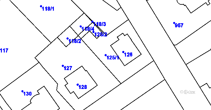 Parcela st. 125/1 v KÚ Rychnov nad Kněžnou, Katastrální mapa