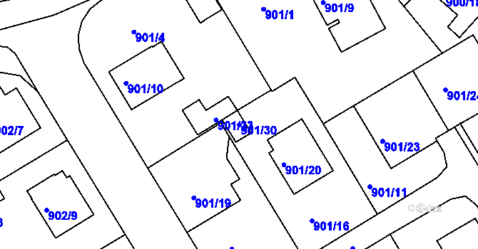 Parcela st. 901/30 v KÚ Rychnov nad Kněžnou, Katastrální mapa