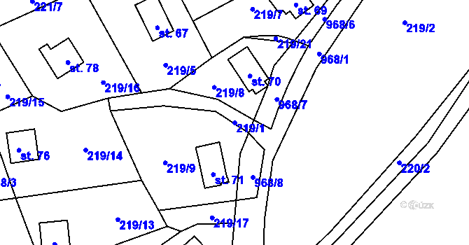 Parcela st. 219/1 v KÚ Všeměřice, Katastrální mapa
