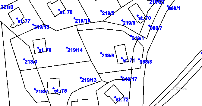 Parcela st. 219/9 v KÚ Všeměřice, Katastrální mapa