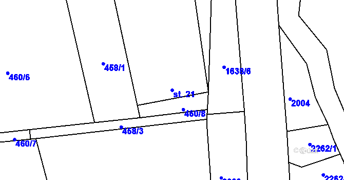 Parcela st. 21 v KÚ Rychnov u Nových Hradů, Katastrální mapa