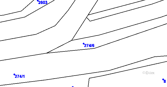 Parcela st. 274/6 v KÚ Zvole, Katastrální mapa