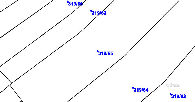 Parcela st. 319/65 v KÚ Rychtářov, Katastrální mapa