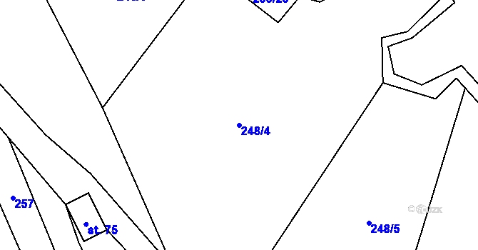 Parcela st. 248/4 v KÚ Rynárec, Katastrální mapa