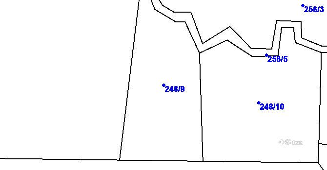 Parcela st. 248/9 v KÚ Rynárec, Katastrální mapa