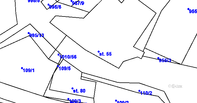 Parcela st. 55 v KÚ Rynárec, Katastrální mapa