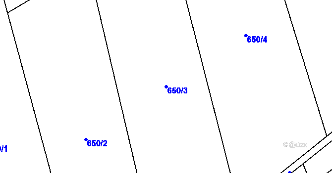 Parcela st. 650/3 v KÚ Rynárec, Katastrální mapa