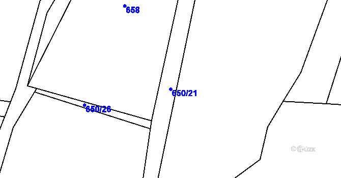 Parcela st. 650/21 v KÚ Rynárec, Katastrální mapa
