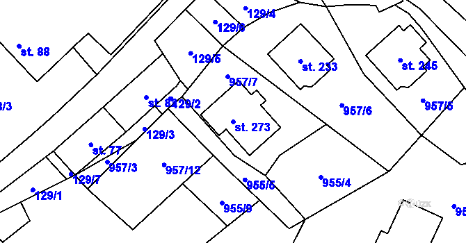 Parcela st. 273 v KÚ Rynárec, Katastrální mapa