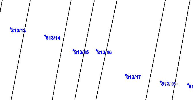 Parcela st. 813/16 v KÚ Rynholec, Katastrální mapa
