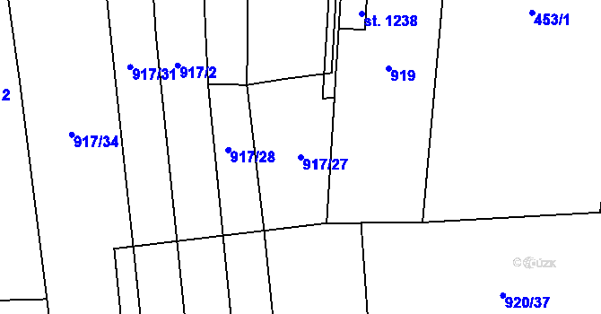 Parcela st. 917/27 v KÚ Rynholec, Katastrální mapa