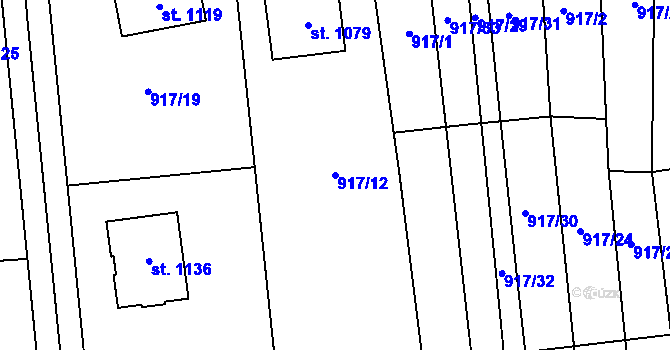 Parcela st. 917/12 v KÚ Rynholec, Katastrální mapa