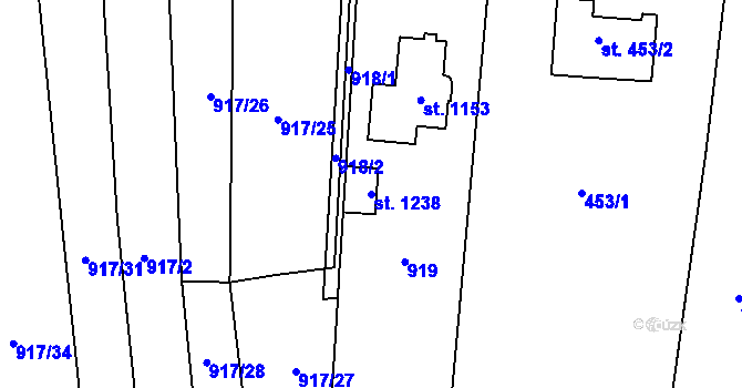 Parcela st. 1238 v KÚ Rynholec, Katastrální mapa
