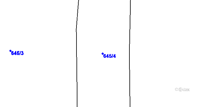 Parcela st. 645/4 v KÚ Ryžoviště, Katastrální mapa