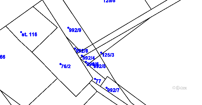 Parcela st. 125/3 v KÚ Trnávka, Katastrální mapa