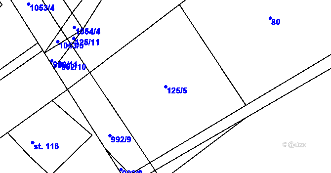 Parcela st. 125/5 v KÚ Trnávka, Katastrální mapa