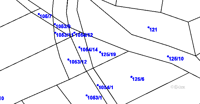 Parcela st. 125/19 v KÚ Trnávka, Katastrální mapa
