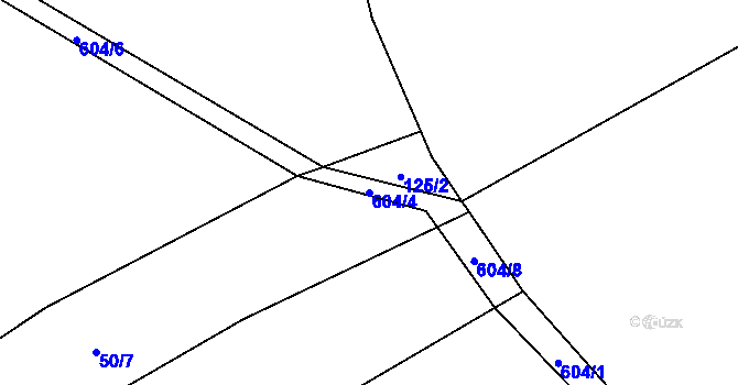 Parcela st. 604/4 v KÚ Křepiny, Katastrální mapa