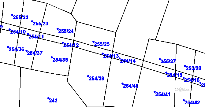 Parcela st. 254/13 v KÚ Řepeč, Katastrální mapa