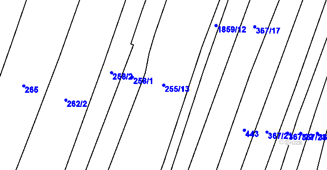 Parcela st. 255/13 v KÚ Řepeč, Katastrální mapa