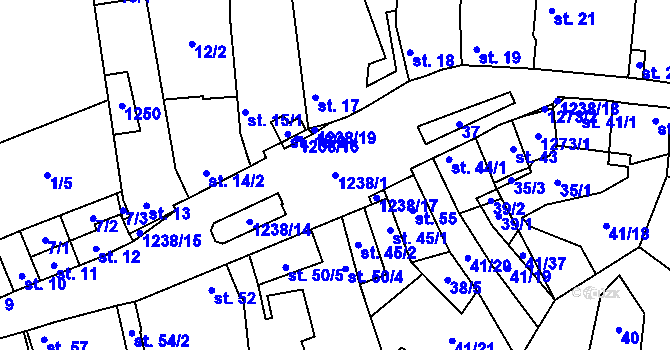 Parcela st. 1238/1 v KÚ Řepín, Katastrální mapa